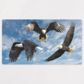 Bald Eagle Soaring Etiketten (Design 1)