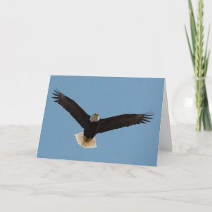 Bald Eagle Soaring-Frameable Art Card Karte