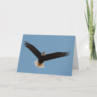 Bald Eagle Soaring-Framework Art Card Karte