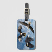 Bald Eagle Soaring Gepäckanhänger (Vorderseite Vertikal)