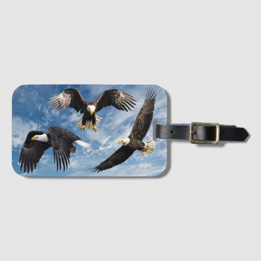 Bald Eagle Soaring Gepäckanhänger (Vorderseite (Horizontal))