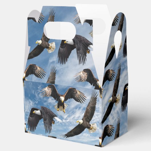 Bald Eagle Soaring Geschenkschachtel (Geöffnet)