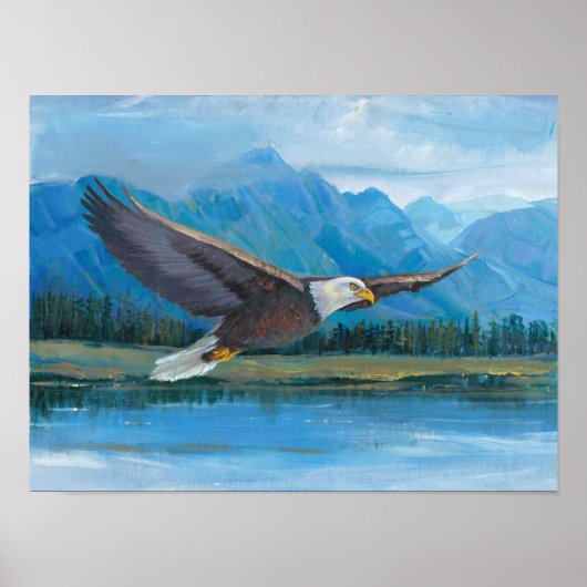 Bald Eagle Soaring Poster (Vorne)