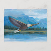 Bald Eagle Soaring Postkarte (Vorderseite)