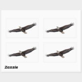 Bald Eagle Soaring Rechteckiger Aufkleber (Blatt)