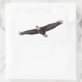 Bald Eagle Soaring Rechteckiger Aufkleber (Tasche)