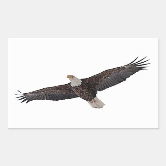 Bald Eagle Soaring Rechteckiger Aufkleber (Vorderseite)
