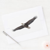 Bald Eagle Soaring Rechteckiger Aufkleber (Umschlag)