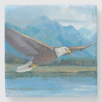 Bald Eagle Soaring
