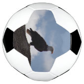 Bald Eagle Soccer Ball (Gedreht)