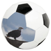 Bald Eagle Soccer Ball (Dreiviertel)