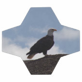 Bald Eagle Soccer Ball (Flach)