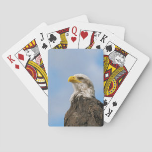 Bald Eagle Spielkarten