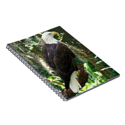 Bald Eagle Spiral Foto Notebook Notizblock (Rechte Seite)