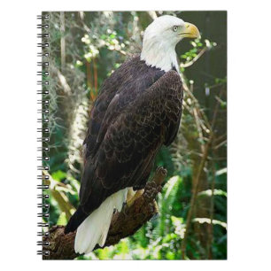 Bald Eagle Spiral Foto Notebook Notizblock