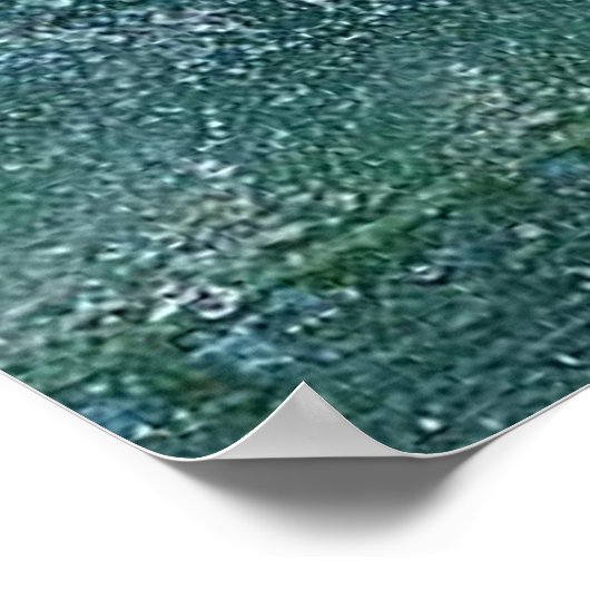 Bald Eagle splash Poster (Ecke)