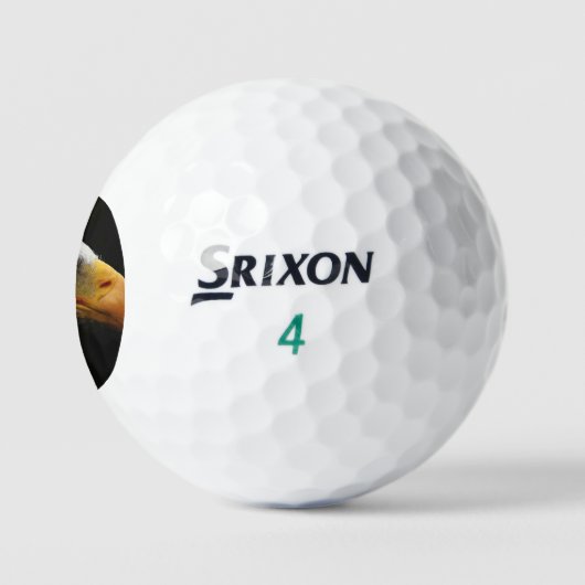Bald Eagle ssf gbcnm Golfball (Logo)