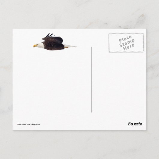 Bald Eagle Staredown Postkarte (Rückseite)