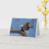 Bald Eagle startet Karte (Gelbe Blume)