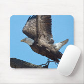 Bald Eagle startet Mousepad (Mit Mouse)