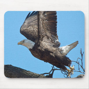 Bald Eagle startet Mousepad