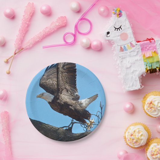 Bald Eagle startet Pappteller (Party)