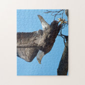 Bald Eagle startet Puzzle (Vertikal)