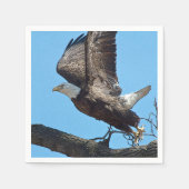 Bald Eagle startet Serviette (Vorderseite)