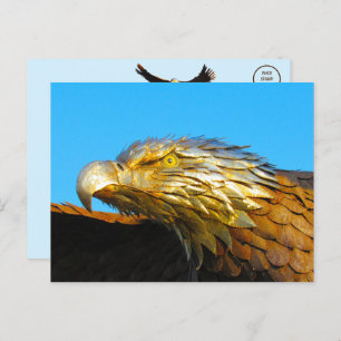 Bald Eagle Statue Postkarte