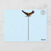 Bald Eagle Statue Postkarte (Rückseite)