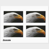 Bald Eagle stcna Rechteckiger Aufkleber (Blatt)
