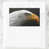 Bald Eagle stcna Rechteckiger Aufkleber (Tasche)