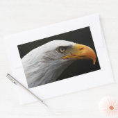 Bald Eagle stcna Rechteckiger Aufkleber (Umschlag)