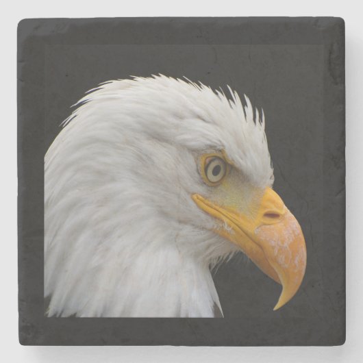 Bald Eagle Steinuntersetzer (Vorderseite)