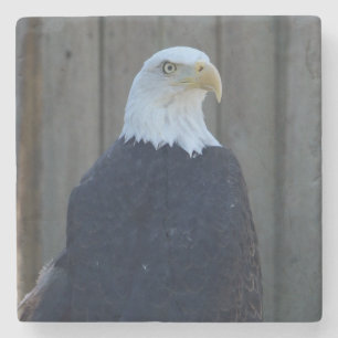 Bald Eagle Steinuntersetzer