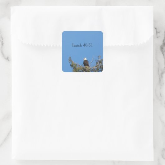 Bald Eagle Sticker (Tasche)