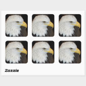 Bald Eagle Stickers (Blatt)