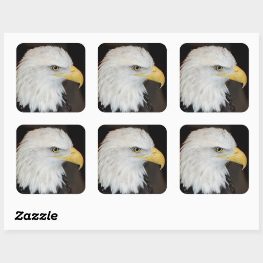 Bald Eagle Stickers (Blatt)