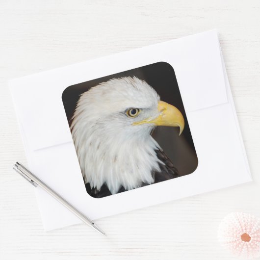 Bald Eagle Stickers (Umschlag)