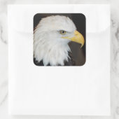 Bald Eagle Stickers (Tasche)