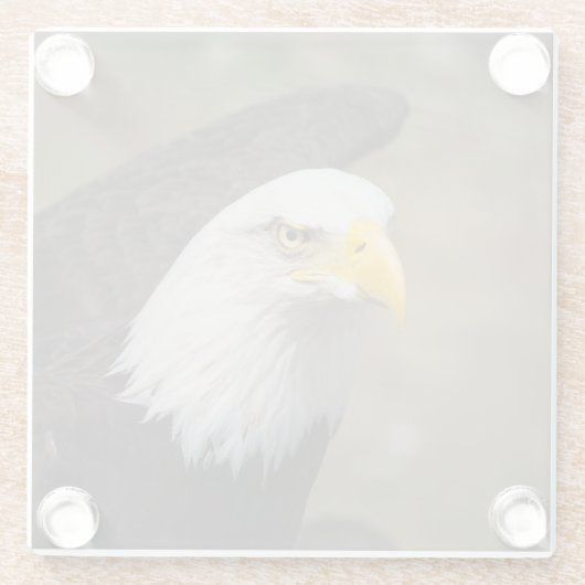 Bald Eagle Strength – Bold Coaster Set Glasuntersetzer (Rückseite)