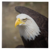 Bald Eagle Strength – Decorative Ceramic Tile Fliese (Vorderseite)