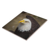 Bald Eagle Strength – Decorative Ceramic Tile Fliese (Seite)