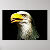 Bald Eagle Stromleuchter Poster (Vorne)