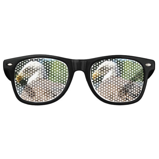 Bald Eagle Sunglasses Sonnenbrille (Vorderseite)