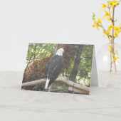 "Bald Eagle" Sympathiekarte Karte (Gelbe Blume)