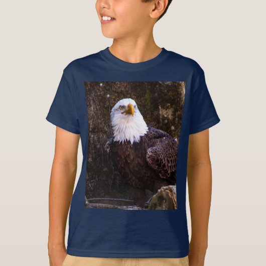 Bald Eagle T - Shirt (Vorderseite)