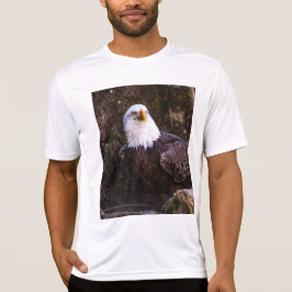 Bald Eagle T - Shirt
