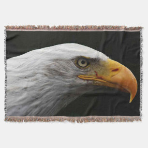 Bald Eagle tbcn Decke
