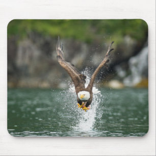 Bald Eagle The Big Catch Mousepad